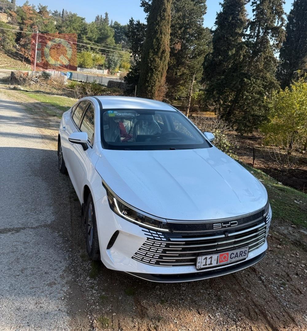 بي واي دي ديستروير 05